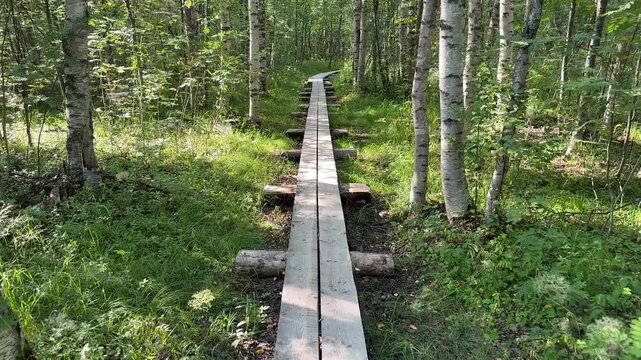 Walking on duckboards in Letonniemi, Oulu Finland