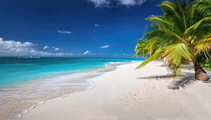 Tropical beach with palm trees during a sunny day