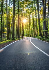 Obraz premium A winding road through a lush green forest illuminated by sunlight.
