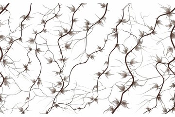 Fototapeta premium Serene silhouette of climbing vines in a tranquil garden setting