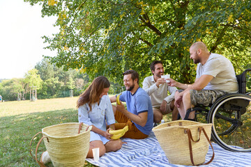 Inclusive outdoor picnic with friends and person using a wheelchair