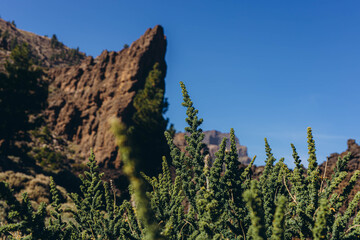 Route to reach the base of the Teide volcano. Tenerife Canary Islands Spain