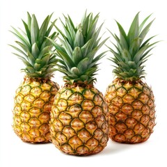 Fototapeta premium Three whole pineapples with green tops on a white background.