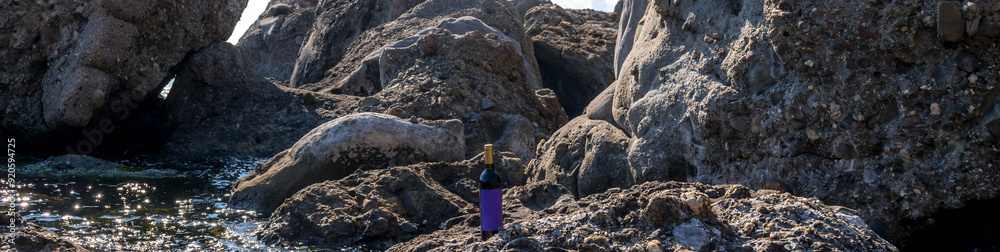 Poster Bottle of wine by the sea