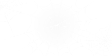 Obraz premium white halloween spiderweb isolated on white or transparent png