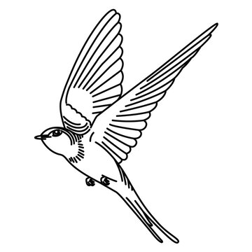 recommend clip art: Elegant Flying Swallow Bird Line Art