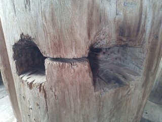 wood, background, pattern, nature, lumber