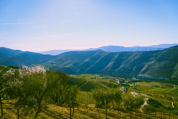 Obraz premium View of the Duoro valley, Portugal