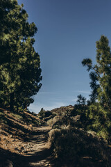 Route to reach the base of the Teide volcano. Tenerife Canary Islands Spain