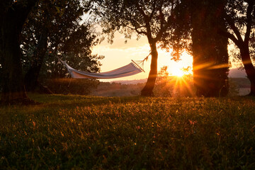 Amaca in giardino al tramonto.