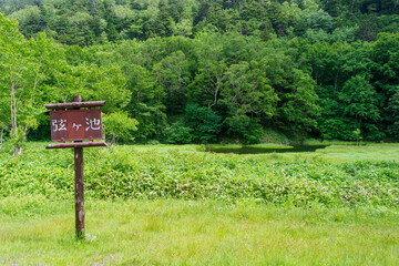 万座ハイウェーの沿道にある弦ヶ池