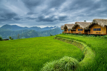 Bamboo huts next to beautiful green rice terraces in the Hoang Su Phi district of Ha Giang...