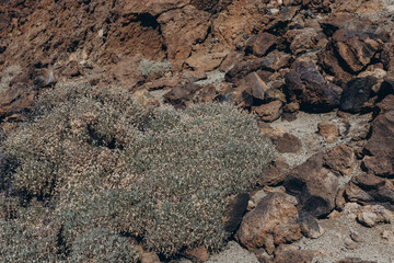 Panoramic view of the Teide volcano and . Tenerife Canary Islands Spain