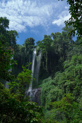 Naklejka premium Beautiful waterfall in the jungle on the island of Bali