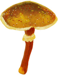 fly agaric mushroom fall autumn gouache watercolor hand made illustration clip art