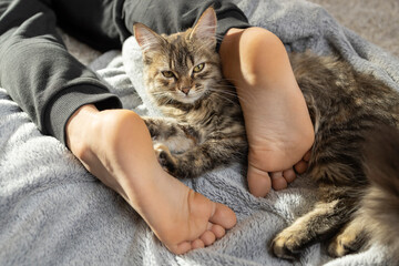 brown fluffy domestic cat lies on the feet of a barefoot child on a soft blanket. Good morning. tenderness with a pet, a cozy atmosphere, friendship between a kitten and a child