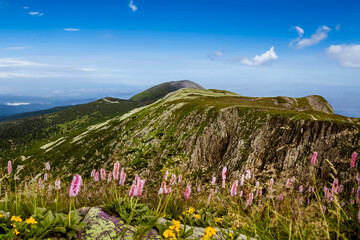 Beautiful mountain landscape of Karkonosze in summer. Giant Mountains.