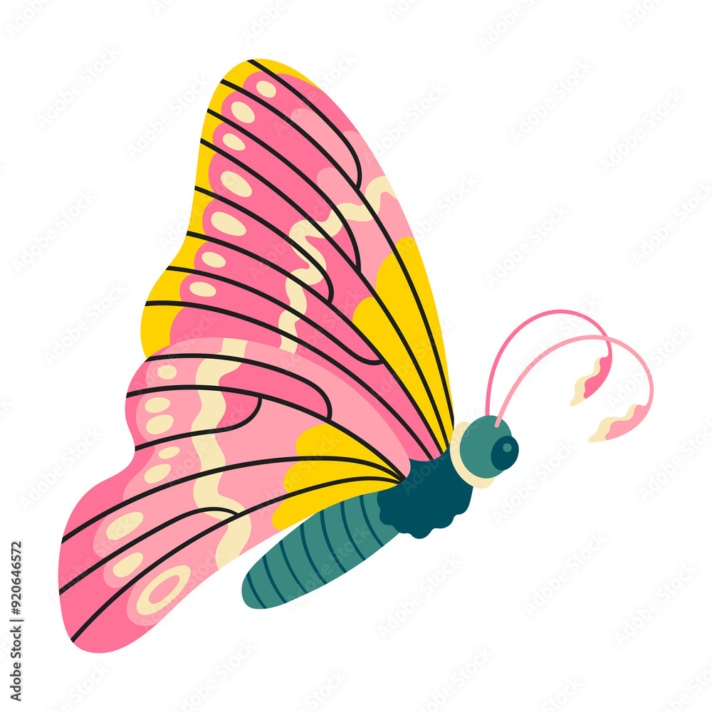 Wall mural butterfly png sticker, nature illustration, transparent background