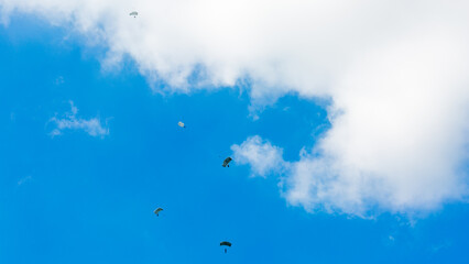 paratroopers in the sky.