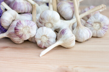The garlic harvest lies on a wooden table, spices. High quality photo