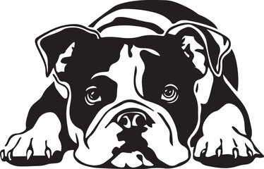 English Bulldog Lying Down Stylized Vector Graphic