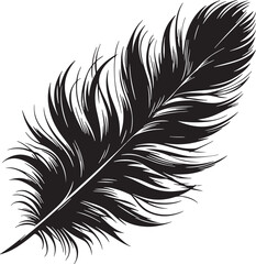 Feather of Bird Silhouette Vector Illustration © ashrafulalampro