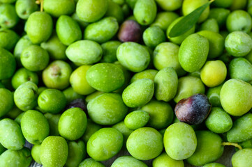 Background of green olives, closeup fresh Mediterranean vegetables.
