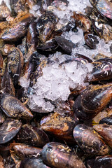Fresh Atlantic mussels, Mytilus edulis L, on the counter of a fishmonger in a food market
