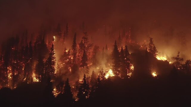 AERIAL: Raging and glowing wildfire spreading across dark, nighttime forest