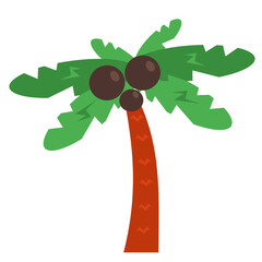 Palm tree. Palm tree with coconuts. Cartoon palm tree with coconuts on white background