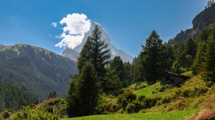 Fototapeta premium Stunning view of Matterhorn Mountain amidst lush greenery near Zermatt, Switzerland on a sunny day