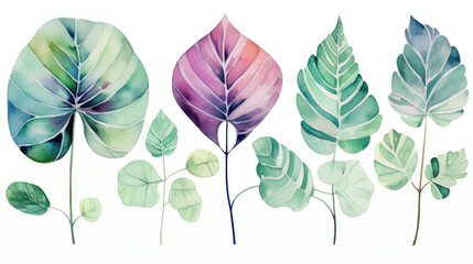 Watercolor painting of plant leaves. Calming and aesthetically. Botanical abstract background.