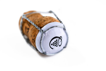 Wine cork on white background. Wine stopper texture