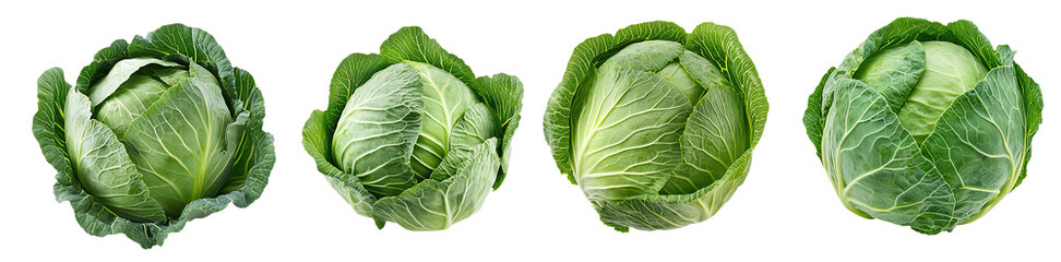 Obraz premium set of green cabbage