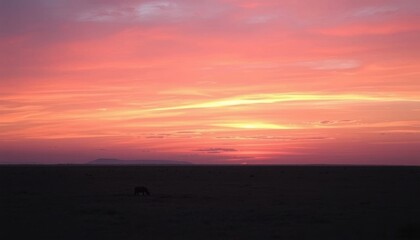 Pink Sunset Over Savanna.