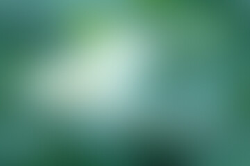 Fototapeta premium Soft sunlight filters through lush greenery, creating a tranquil atmosphere in a vibrant outdoor space