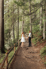 Fototapeta premium A couple is standing on a path in a forest, holding hands