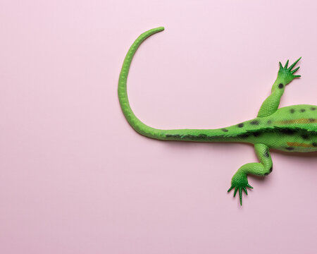 Tail of green lizard toy on pastel pink background. Minimal art concept.