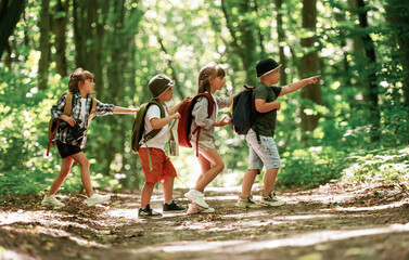 Going to the side. Kids in forest at summer daytime together