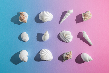 Creative composition with seashells on gradient pastel pink and blue background. Summer minimal concept.