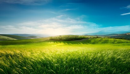 Sunset over the field