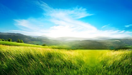 Fototapeta premium Sunset over the field