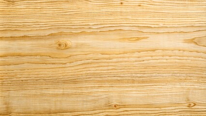 Fototapeta premium Birch wood grain texture background