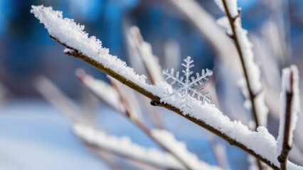 Obraz premium A snowflake is on a branch of tree covered in frost, AI