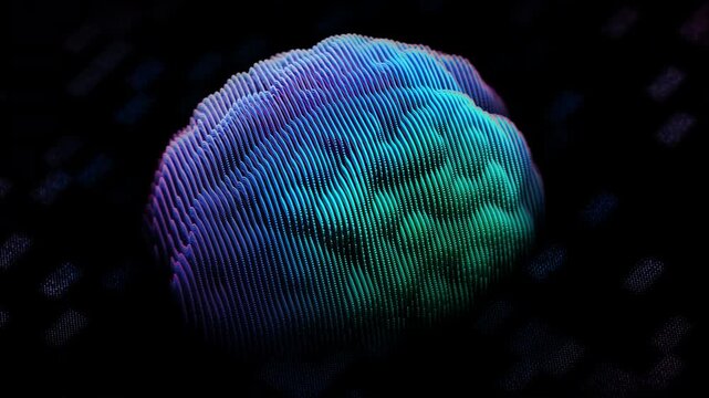 3D digital bright human brain rotates on black background. Abstract concept of artificial intelligence, deep learning or magnetic resonance imaging (MRI) diagnostics. 4K looped video of CT brain scan