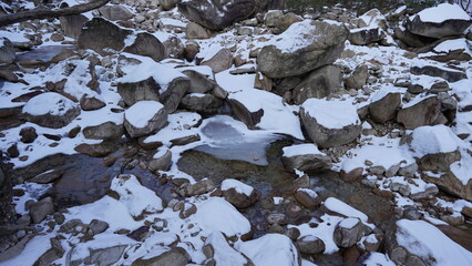 풍경, 도시, 야경, 동물, 식물, 음식