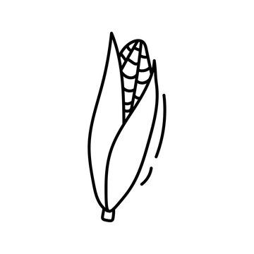 recommend clip art: Corn. Vector illustration in doodle style