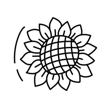recommend clip art: Sunflower. Vector illustration in doodle style