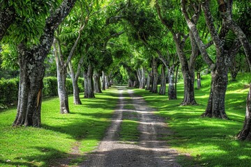 Obraz premium Tunnel-like Avenue of green Trees, Tree Footpath through Park in Spring. Beautiful simple AI generated image in 4K, unique.
