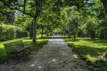 Tunnel-like Avenue of green Trees, Tree Footpath through Park in Spring. Beautiful simple AI generated image in 4K, unique.